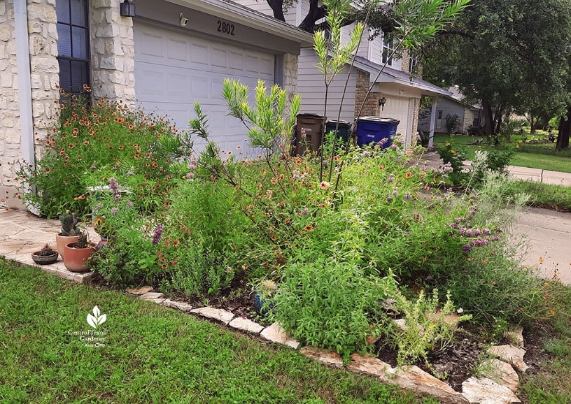 Native Garden Photo