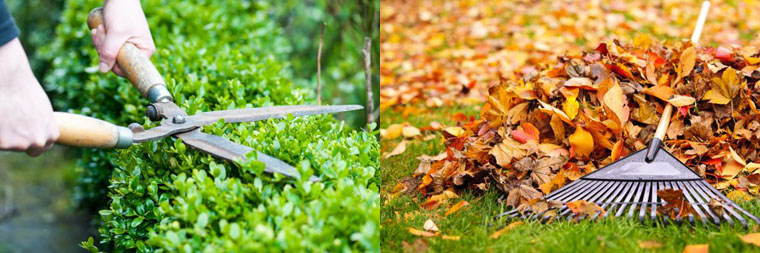 yardwaste-guidelines-img