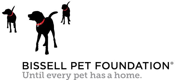 BPF-Logo