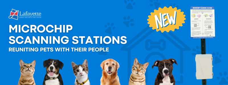 Microchip Scanning Stations