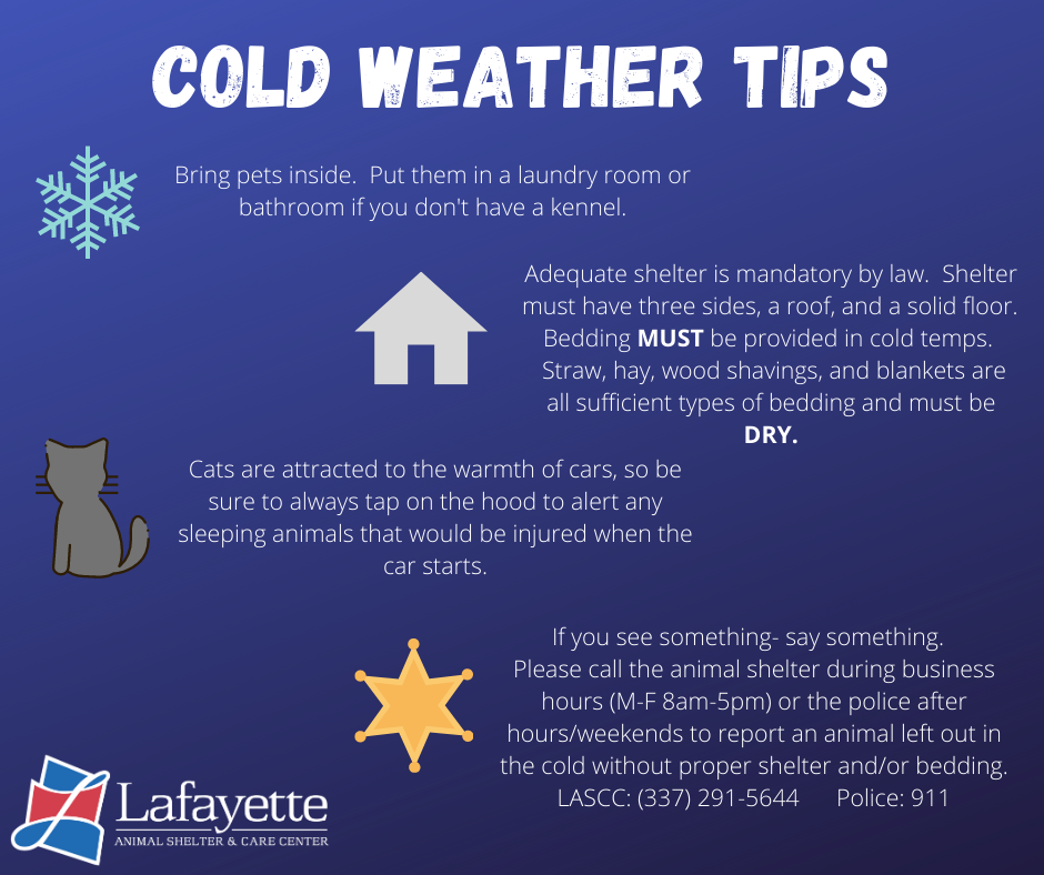 Cold-Weather-Tips-for-Pets