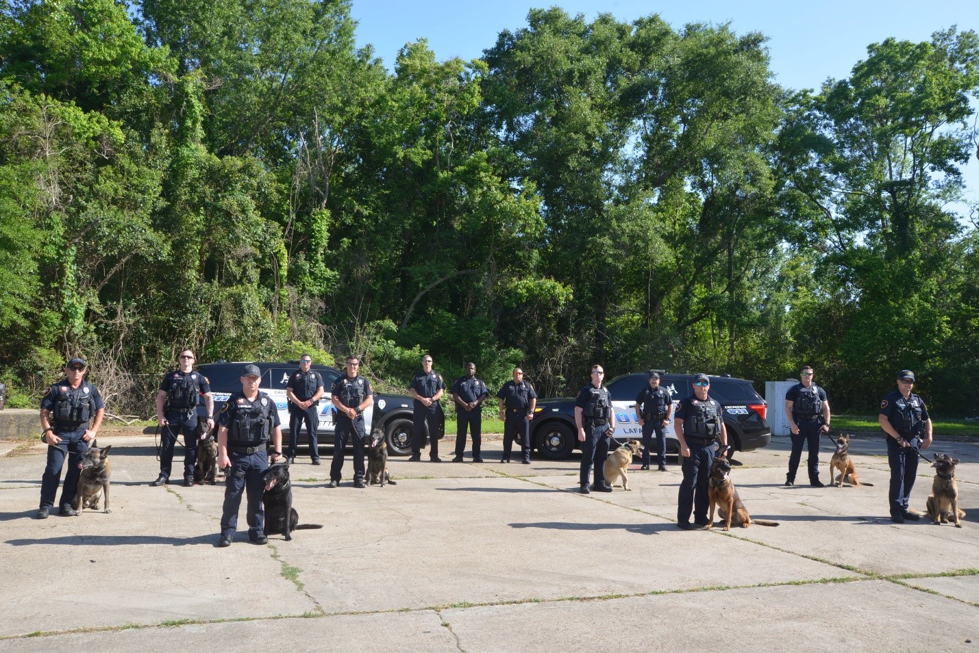 k9-unit-image1