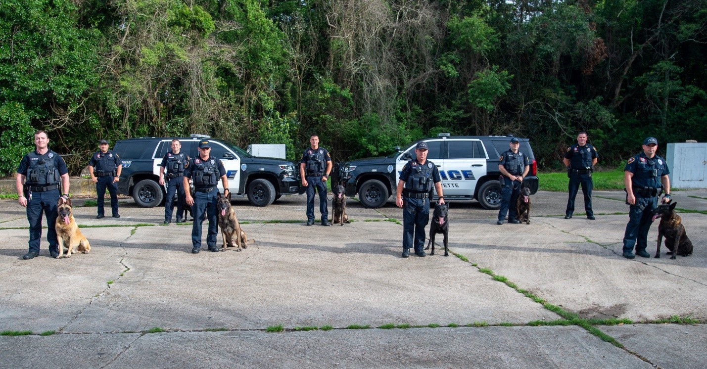 k9-unit-image3