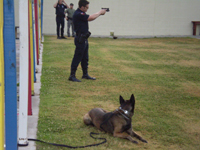 K-9 Officer