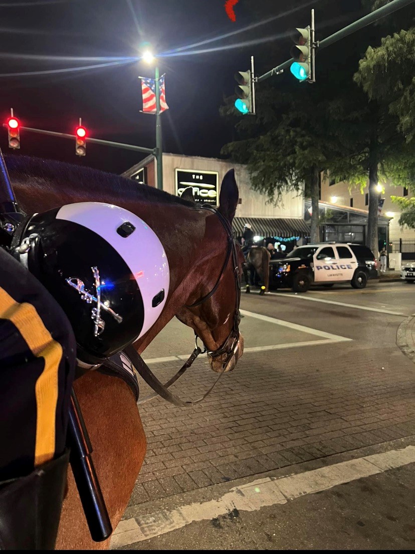 Mounted Patrol