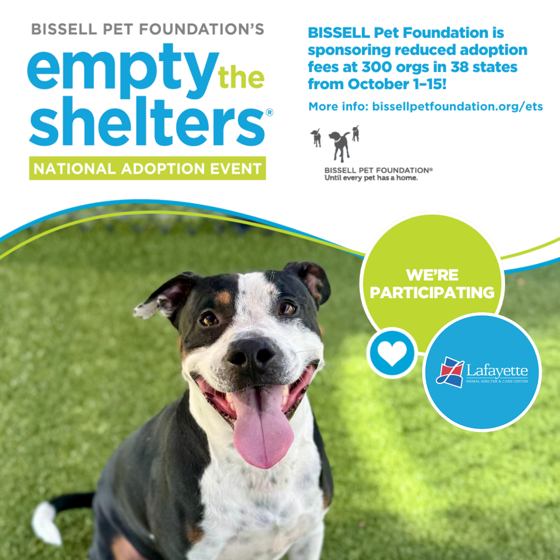 LASCC and Bissell Empty the Shelters