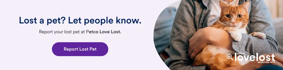 Petco Lost Banner