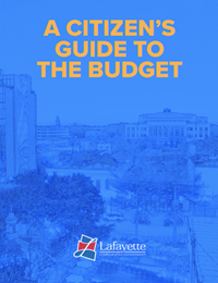 Citizen Guide to Budget Image