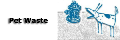 Dog and Fire Hydrant