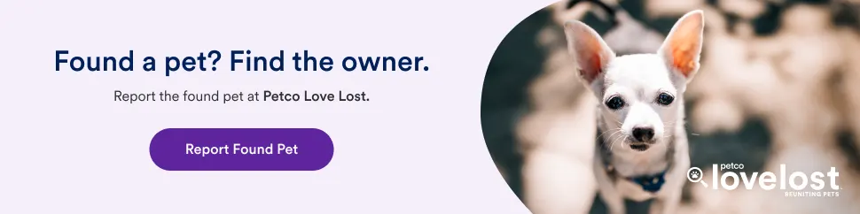 Petco Found a Pet Banner