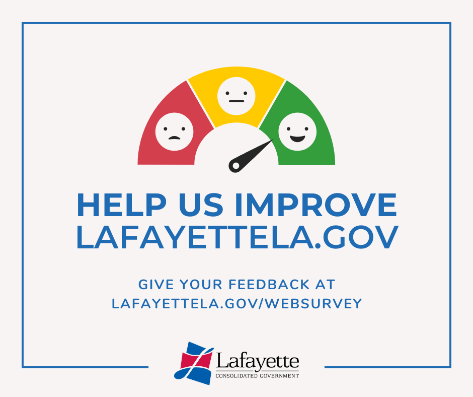 LCG Website Citizens Survey